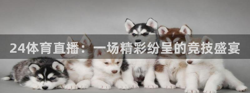 24体育直播：一场精彩纷呈的竞技盛宴
