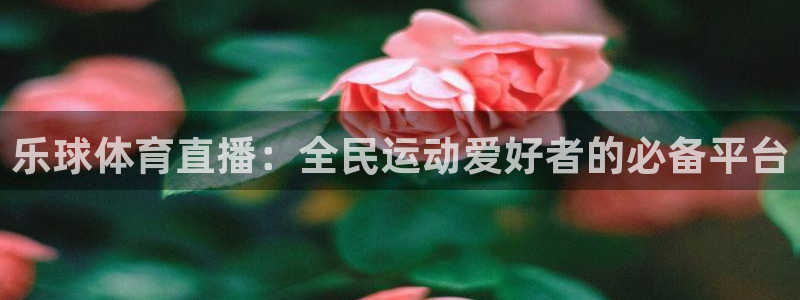 乐球体育直播：全民运动爱好者的必备平台