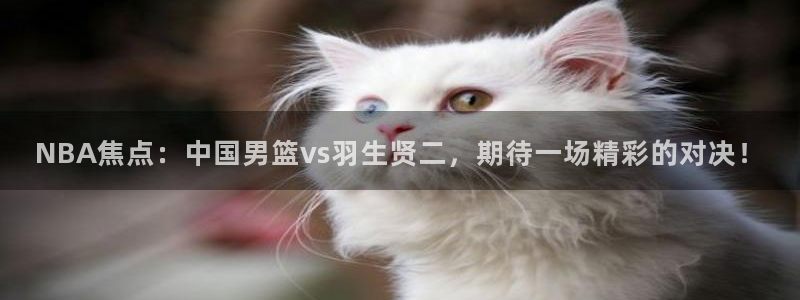 NBA焦点：中国男篮vs羽生贤二，期待一场精彩的对决！
