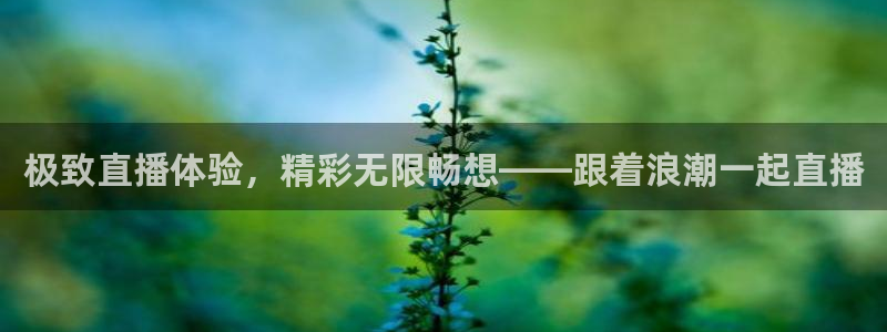 极致直播体验，精彩无限畅想——跟着浪潮一起直播