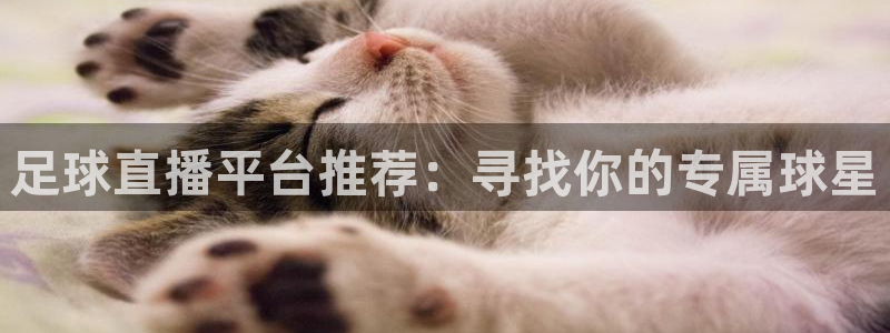 足球直播平台推荐：寻找你的专属球星