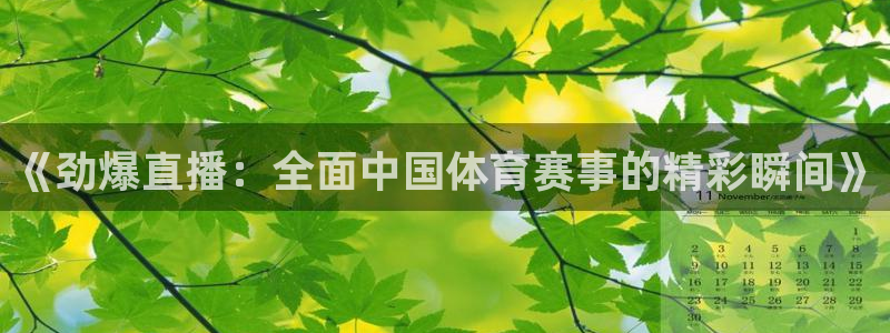 《劲爆直播：全面中国体育赛事的精彩瞬间》