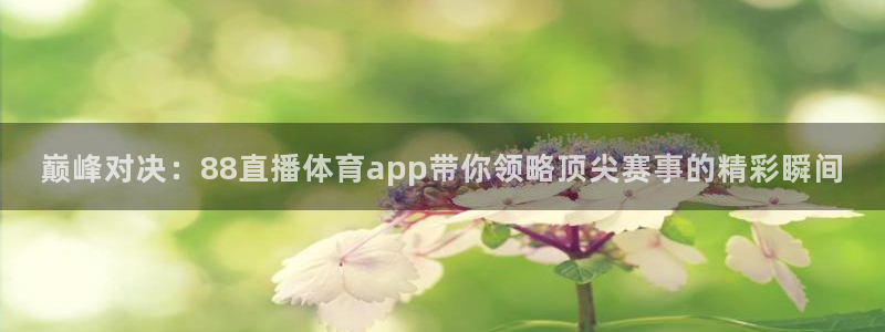 巅峰对决：88直播体育app带你领略顶尖赛事的精彩瞬间